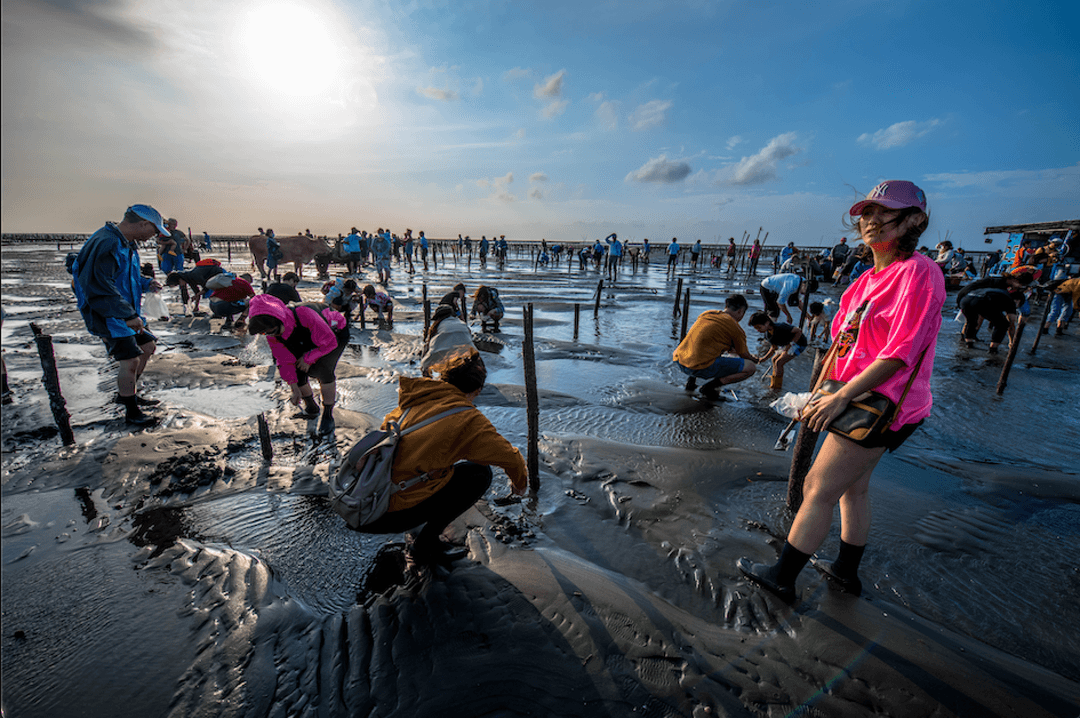 Day 7: Sun Moon Lake Cruise, Puli Paper Culture & Changhua Wetland Ecology