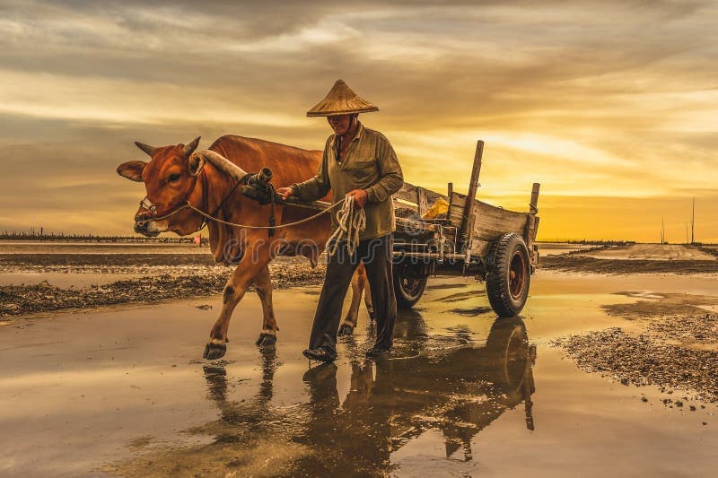 Day 7: Sun Moon Lake Cruise, Puli Paper Culture & Changhua Wetland Ecology