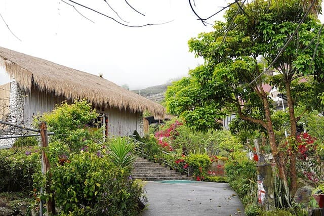 Day 8: Alishan Tsou Tribal Culture × Hinoki Village Japanese Wooden Houses